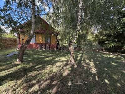 IMG_0033